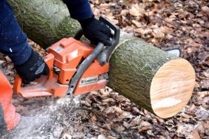 fetching the woodblocks